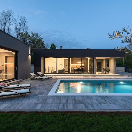 Green Luxury II With Heated Pool, Jacuzzi & Sauna Ruzici  المظهر الخارجي الصورة